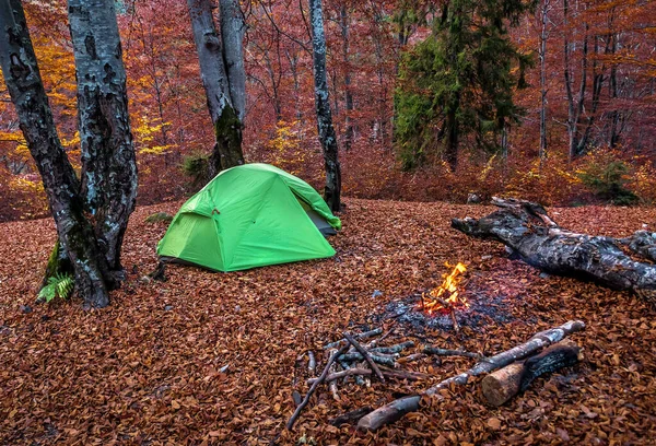 Sonbahar Ormanında Kamp Ateşi Turist Çadırı — Stok fotoğraf