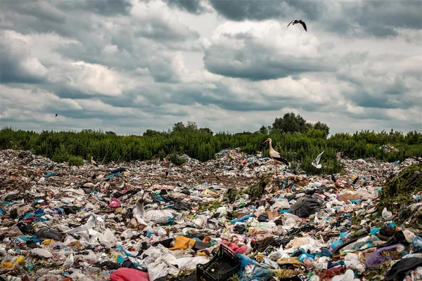 垃圾堆放场 垃圾填埋场中的沟槽和水槽 — 图库照片