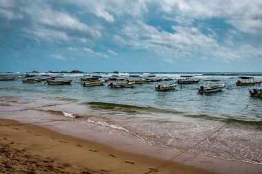 Birçok tekne tropik sahil yakınlarında demirlemişti.