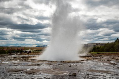 Strokkur gayzer patlaması, Altın Çember, İzlanda