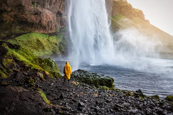 Sárga Esőkabátos Személy Nézi Seljalandsfoss Vízesését Izlandon — Stock Fotó