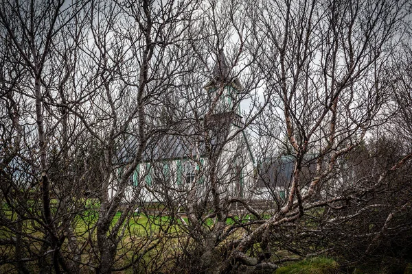 Věci Vellir Kostel Větvích Stromů Island — Stock fotografie