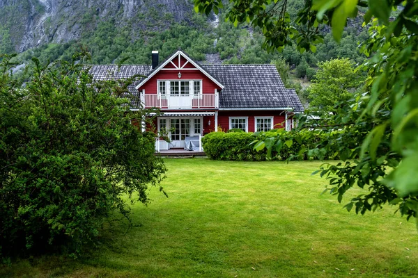 Maison Bois Confortable Abandonnée Sous Montagne Entourée Plantes Vertes — Photo