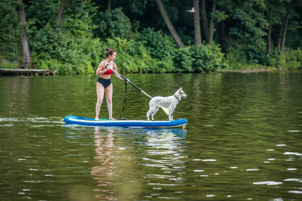 Woman Standing Paddle Sup Board Her White Dog Stock Picture