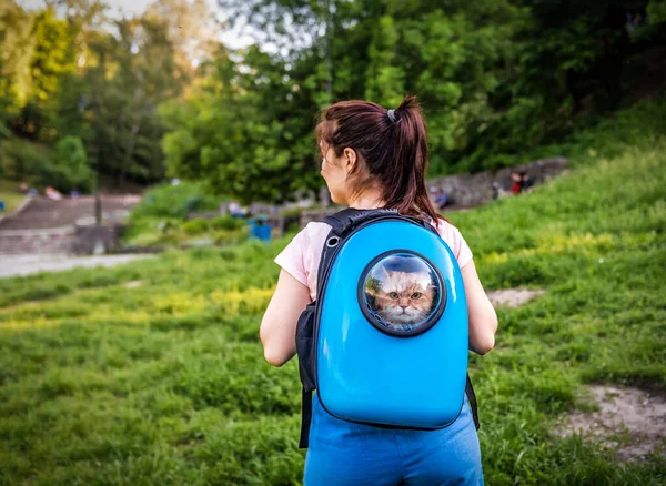 Woman with red cat in a blue animal backpack with a porthole for a walk