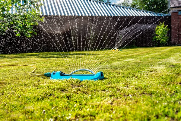 Blue lawn sprinkler spaying water over green grass. Irrigation system
