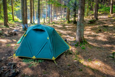 Vahşi Orman 'da güneş ışığı altında profesyonel turizm çadırı