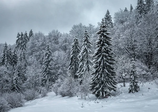 在雪地里开火喀尔巴阡山脉冬季景观 — 图库照片