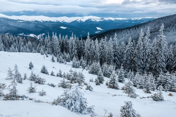 Winter snowy mountains, wilderness landscape after snowstorm