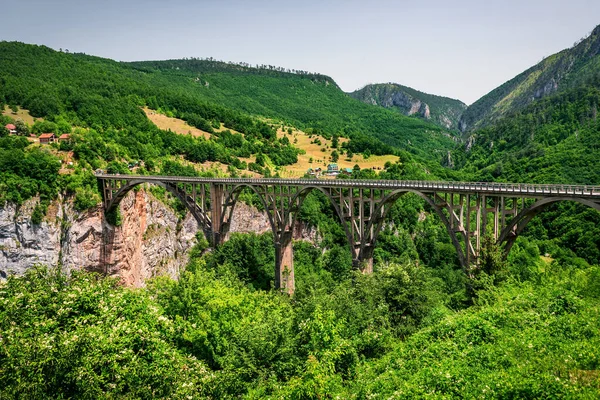 Djurdjevica Tara concrete arch Bridge in Montenegro. One of the highest automobile bridges in Europe. Tara river bridge