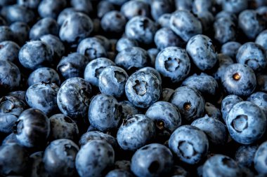 Taze taze organik yaban mersini.