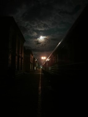 The train stands at the railway station on a moonlit night. Mystical picture. Selective focus