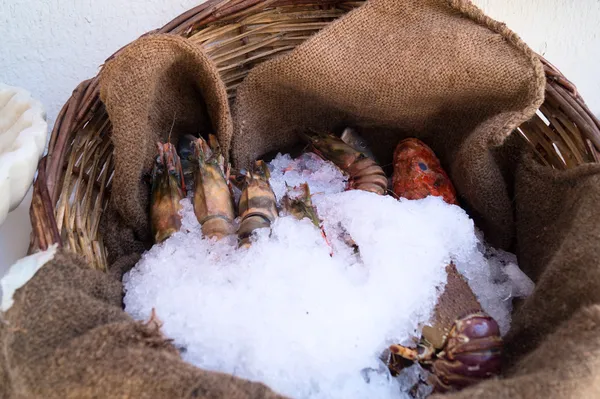 backet deniz ürünleri