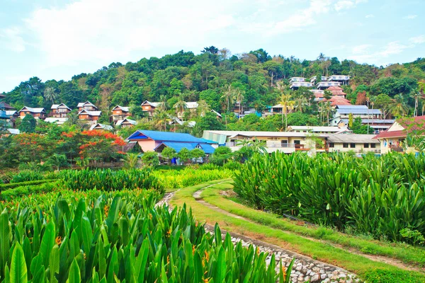 Resort en park — Stockfoto