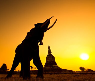 siluet eylem filin kırsal ayutthaya ili, Tayland