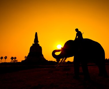 siluet eylem filin kırsal ayutthaya ili, Tayland
