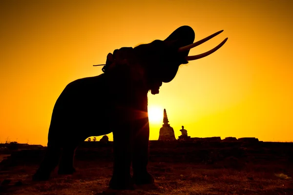 Silhouette åtgärder av elefant i landsbygden ayutthaya provinsen, thailand — Stockfoto