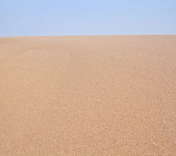 Plage de cygnes du désert et sahara en Thaïlande — Photo