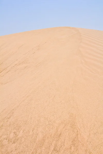 Plage de cygnes du désert et sahara en Thaïlande — Photo