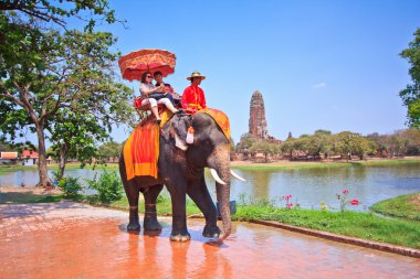 Ayutthaya, Tayland - 7 Mart: turist bir fil üzerinde 7 Mart 2013 yılında ayutthaya antik kentin tur binmek.