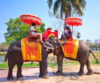 Ayutthaya, Tayland - 7 Mart: turist bir fil üzerinde 7 Mart 2013 yılında ayutthaya antik kentin tur binmek.