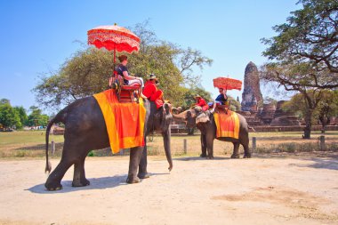 Ayutthaya, Tayland - 7 Mart: turist bir fil üzerinde 7 Mart 2013 yılında ayutthaya antik kentin tur binmek.