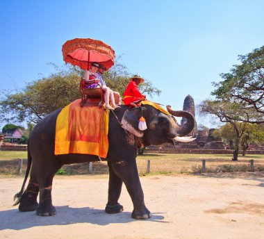 Ayutthaya, Tayland - 7 Mart: turist bir fil üzerinde 7 Mart 2013 yılında ayutthaya antik kentin tur binmek.