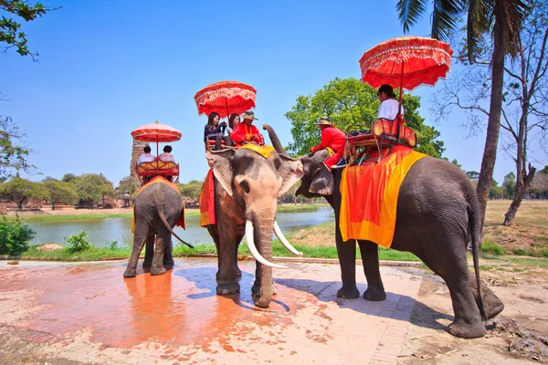 アユタヤ、タイ - 3 月 7 日: 象の観光客は 2013 年 3 月 7 日アユタヤに乗って古代都市のツアー. — ストック写真