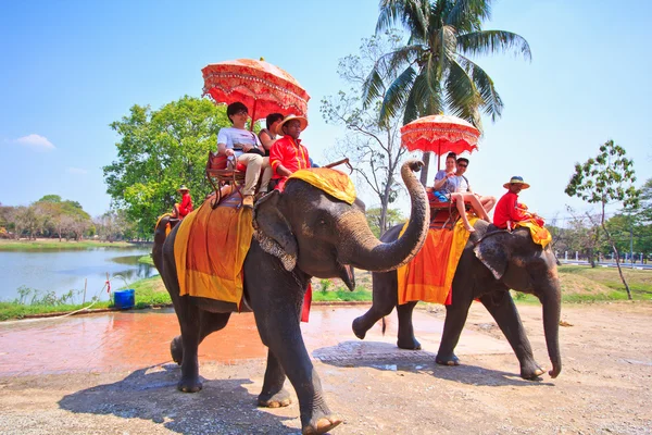 AYUTTHAYA, THAILAND - MARÇO 7: Turistas em um passeio de elefante pela cidade antiga em 7 de março de 2013 em Ayutthaya . — Fotografia de Stock