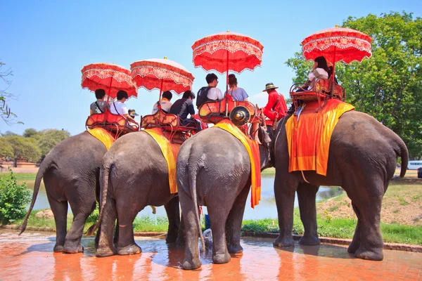 Ayutthaya, Thailand - 7. März: Touristen auf einer Elefantenritt-Tour durch die antike Stadt am 7. März 2013 in Ayutthaya. — Stockfoto