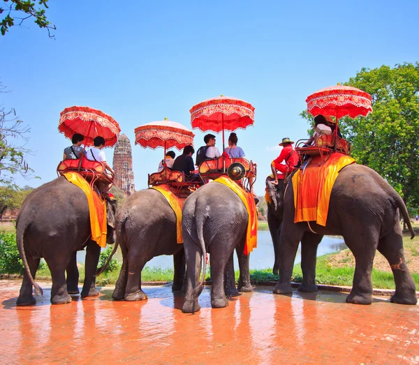 Ayutthaya, Thailand - 7. März: Touristen auf einer Elefantenritt-Tour durch die antike Stadt am 7. März 2013 in Ayutthaya. — Stockfoto