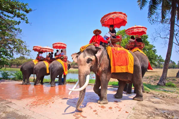 Ayutthaya, Thailand - 7. März: Touristen auf einer Elefantenritt-Tour durch die antike Stadt am 7. März 2013 in Ayutthaya. — Stockfoto