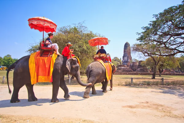 AYUTTHAYA, THAILAND - 7 марта: Туристы на слоне поездка тур по древнему городу 7 марта 2013 года в Аюттхая . — стоковое фото