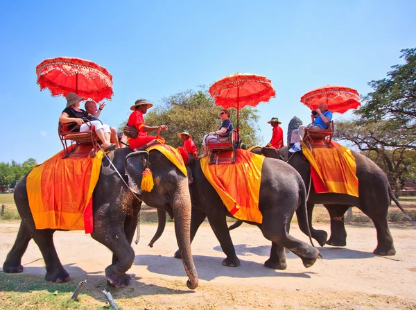 Ayutthaya, thailand - 7 mars: turister på en elefant åka rundtur i den antika staden den 7 mars 2013 i ayutthaya. — Stockfoto