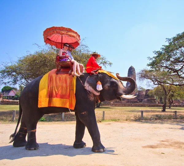 大城府，泰国 — — 3 月 7 日： 乘坐大象的游客骑 2013 年 3 月 7 日在大城府的这座古城之旅. — 图库照片