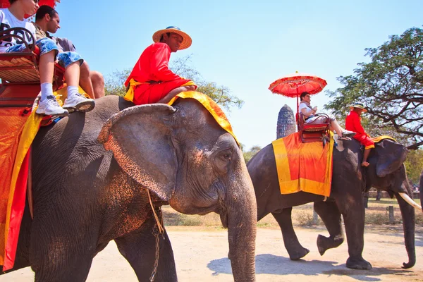 AYUTTHAYA, THAILAND - MARÇO 7: Turistas em um passeio de elefante pela cidade antiga em 7 de março de 2013 em Ayutthaya . — Fotografia de Stock