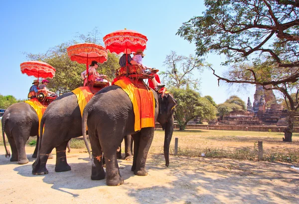 AYUTTHAYA, THAILAND - MARCH 7: Tourists on an elephant ride tour of the ancient city on March 7, 2013 in Ayutthaya. — Stock Photo, Image