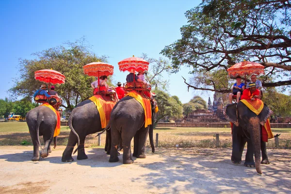 AYUTTHAYA, THAILAND - MARÇO 7: Turistas em um passeio de elefante pela cidade antiga em 7 de março de 2013 em Ayutthaya . — Fotografia de Stock