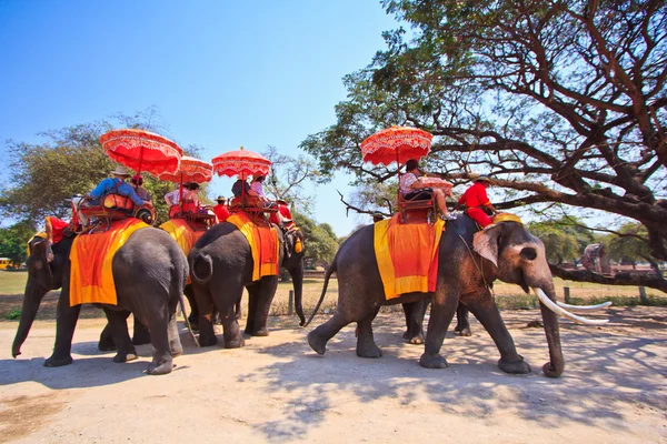 Ayutthaya, Thailand - 7. März: Touristen auf einer Elefantenritt-Tour durch die antike Stadt am 7. März 2013 in Ayutthaya. — Stockfoto