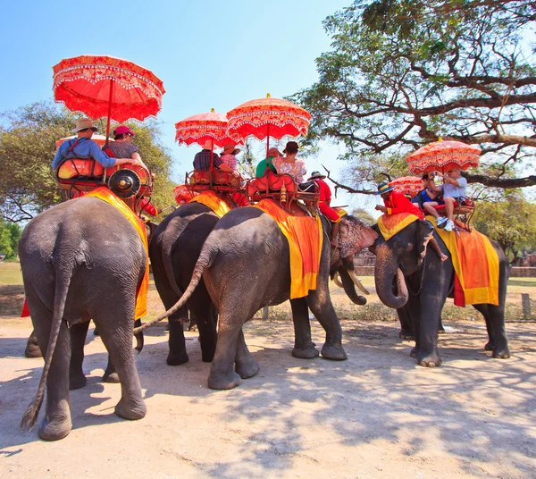 Ayutthaya, thailand - 7 mars: turister på en elefant åka rundtur i den antika staden den 7 mars 2013 i ayutthaya. — Stockfoto