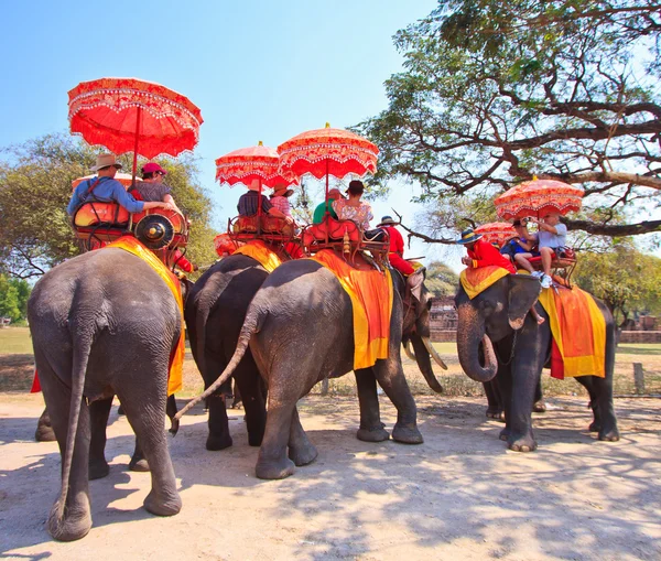 AYUTTHAYA, THAILAND - MARCH 7: Tourists on an elephant ride tour of the ancient city on March 7, 2013 in Ayutthaya. — Stock Photo, Image