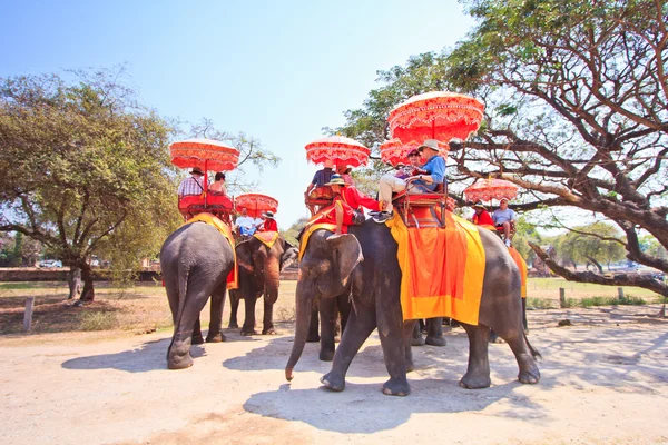 Ayutthaya, thailand - 7 maart: toeristen op een olifant rijden tour van de oude stad op 7 maart 2013 in ayutthaya. — Stockfoto