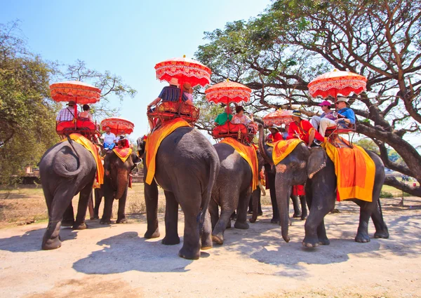 Ayutthaya, Thailand - 7. März: Touristen auf einer Elefantenritt-Tour durch die antike Stadt am 7. März 2013 in Ayutthaya. — Stockfoto