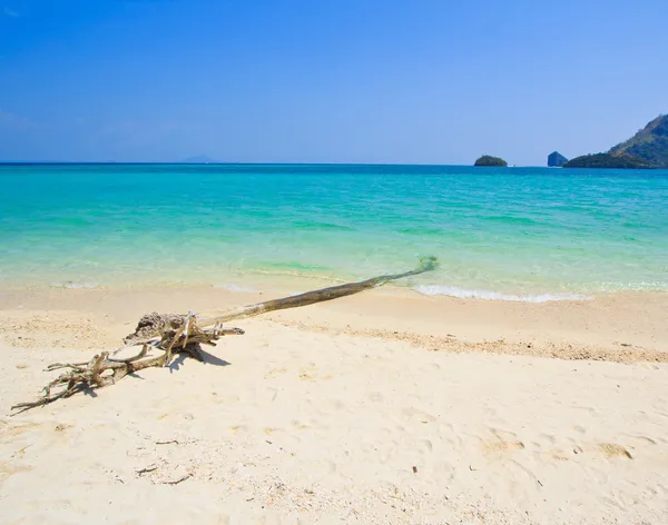 Paesaggio marino e legno in Thailandia — Foto Stock