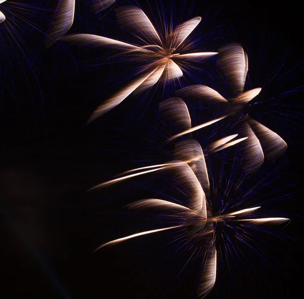 Farbenfrohes Feuerwerk — Stockfoto