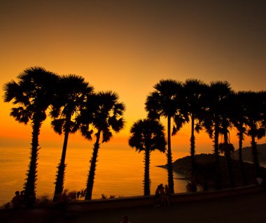 gün batımında denize sugar palm phuket Tayland