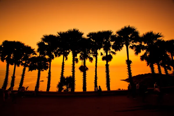 Gün batımında denize sugar palm phuket Tayland — Stok fotoğraf