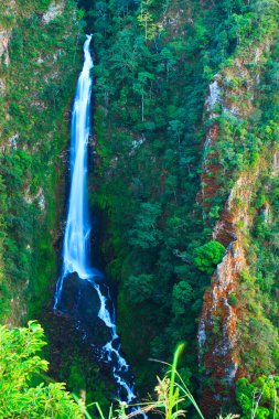 rainforest Tayland Mae surin şelale
