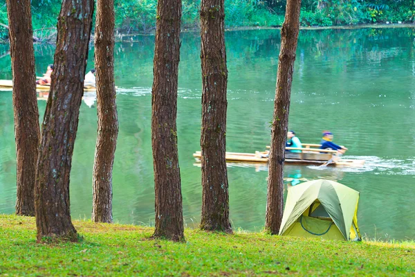 Camping dans la forêt de pins — Photo