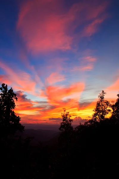 Coucher de soleil. ciel bleu et nuages Nature — Photo